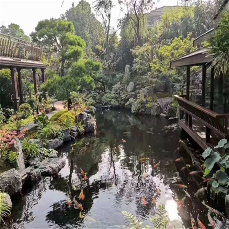 坡头小庭院假山鱼池