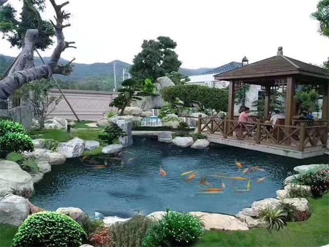 坡头庭院鱼池假山设计